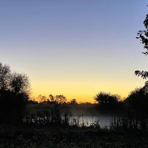 Meet your Posher, Esther